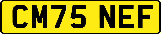 CM75NEF