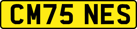CM75NES