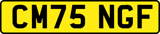 CM75NGF