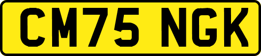 CM75NGK