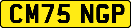 CM75NGP