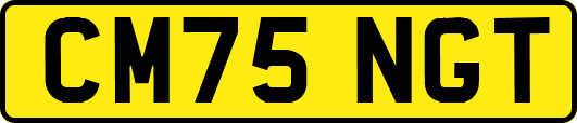 CM75NGT