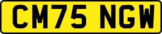 CM75NGW