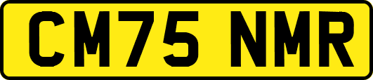 CM75NMR
