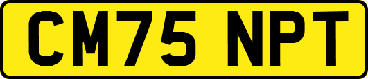 CM75NPT