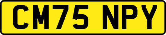 CM75NPY