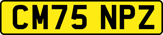 CM75NPZ