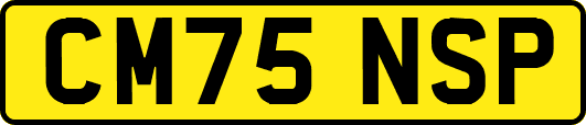 CM75NSP