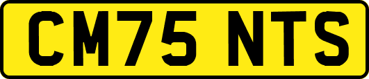 CM75NTS