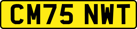 CM75NWT