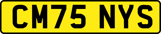 CM75NYS
