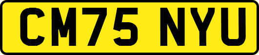 CM75NYU