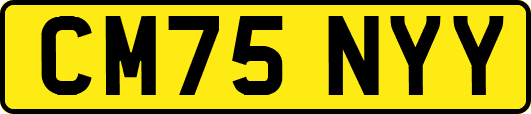 CM75NYY
