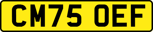 CM75OEF