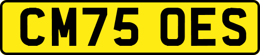 CM75OES