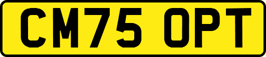 CM75OPT