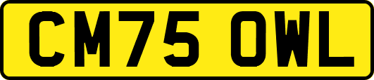 CM75OWL