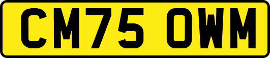 CM75OWM