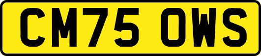 CM75OWS