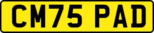 CM75PAD