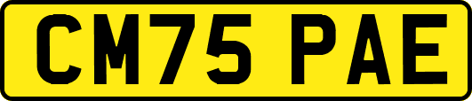 CM75PAE