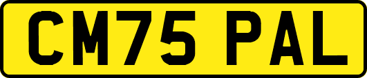 CM75PAL