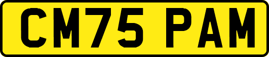 CM75PAM