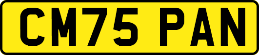 CM75PAN