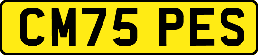 CM75PES