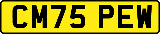 CM75PEW