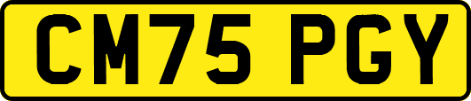 CM75PGY