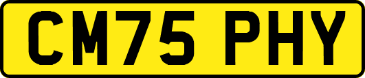 CM75PHY
