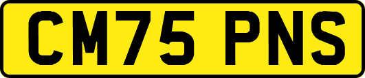 CM75PNS