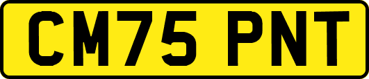 CM75PNT
