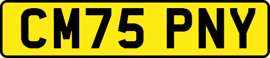 CM75PNY