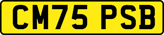 CM75PSB
