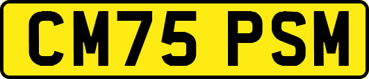 CM75PSM