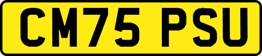 CM75PSU
