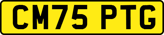CM75PTG