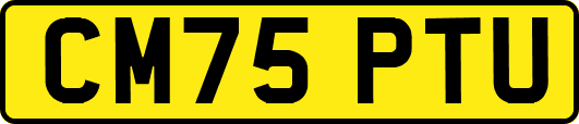 CM75PTU