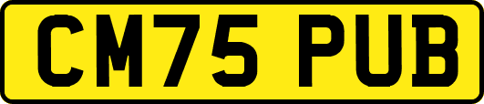 CM75PUB