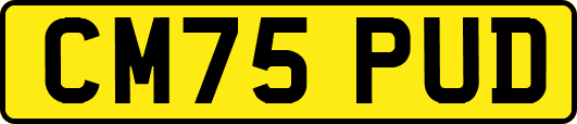 CM75PUD