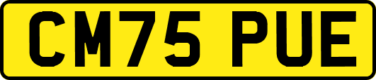 CM75PUE