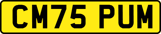 CM75PUM