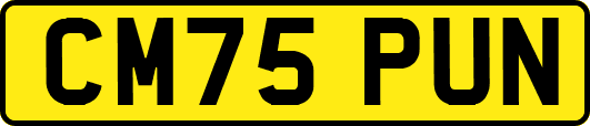 CM75PUN