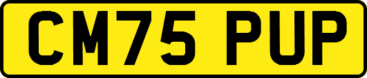 CM75PUP