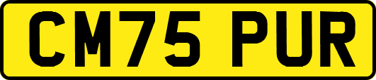 CM75PUR