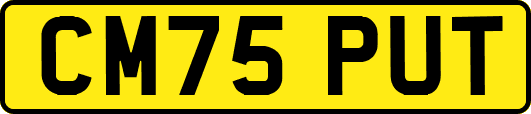 CM75PUT