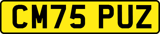 CM75PUZ