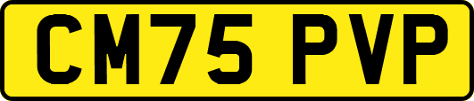 CM75PVP
